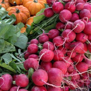 Frisches Obst auf Wiens Märkten