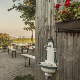 Weingut Wieninger am Nußberg | © Österreich Werbung / Nina Baumgartner (thecreatingclick.com)