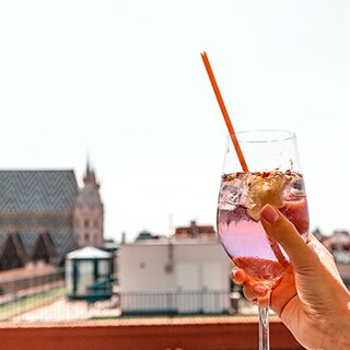 Rooftop bar in Vienna