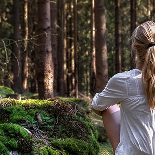 Woman overlooking the quiet forest