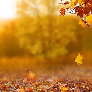 Herbststimmung in Österreich