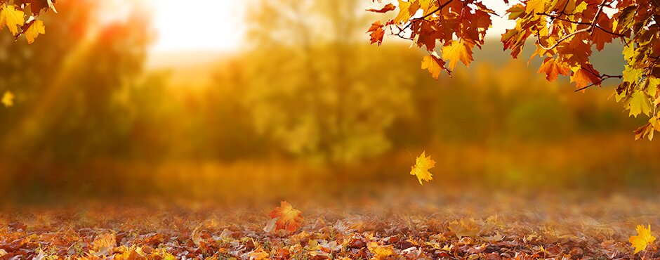 Autumn mood in Austria