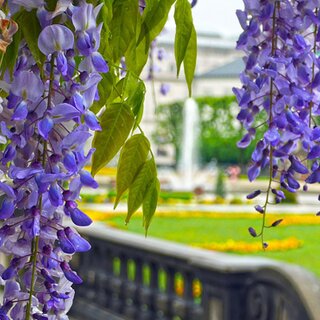 Salzburger Plätze zum (kurz) verweilen | © charlemagne / pixabay