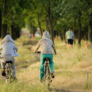 Tipps für Familien in Wien | © pixabay