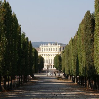 Insidertipps für euren Besuch im Schloss Schönbrunn rund um Kunst, Kulinarik und Natur.