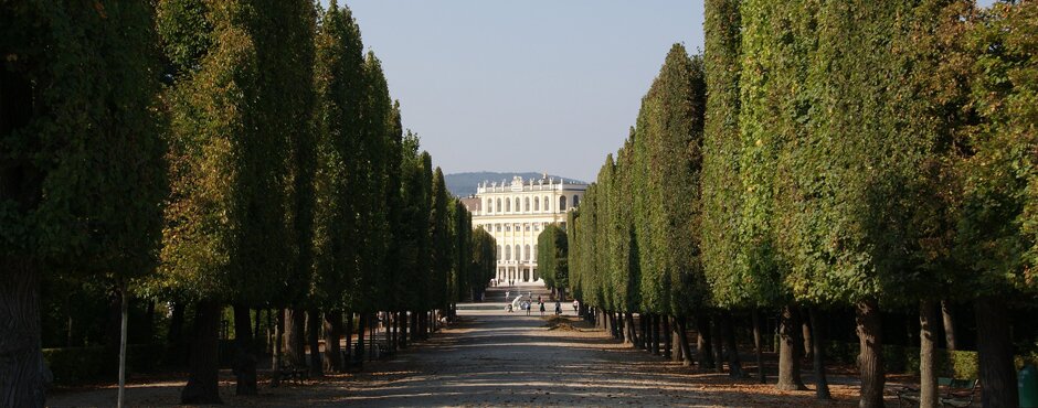 Insidertipps für euren Besuch im Schloss Schönbrunn rund um Kunst, Kulinarik und Natur.