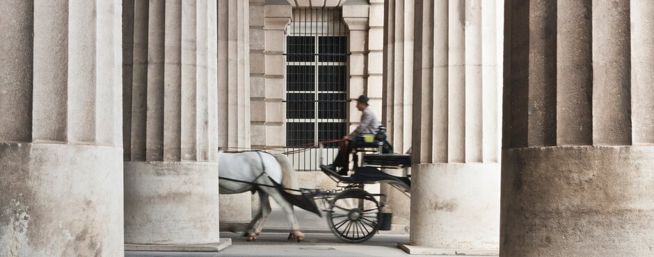 Horse-drawn carriage ride through the Outer Castle Gate to Heroes' Square | Vienna