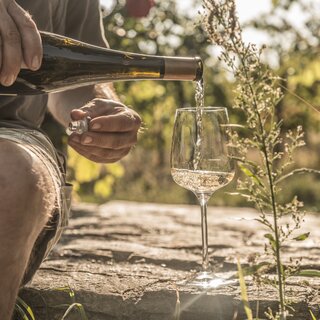 Weißweinglas im Sonnenschein beim Weingut Wieninger am Nußberg | © Österreich Werbung / Nina Baumgartner (thecreatingclick.com)