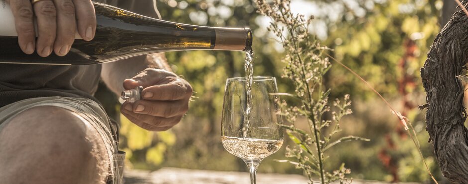 Weißweinglas im Sonnenschein beim Weingut Wieninger am Nußberg | © Österreich Werbung / Nina Baumgartner (thecreatingclick.com)