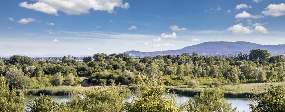 Das Erholungsgebit Wienerberg hat viel zu bieten, ob Badespaß oder Entspannung in der Wiese | © Shutterstock