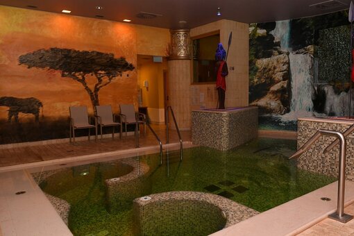 Indoor Pool | Hotel Ljubljana in Slowenien Indoor Pool mit Leiter | Hotel Ljubljana in Slowenien