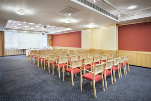 Seminar room "Otto Wagner" Theater with screen | Hotel Ananas in Vienna