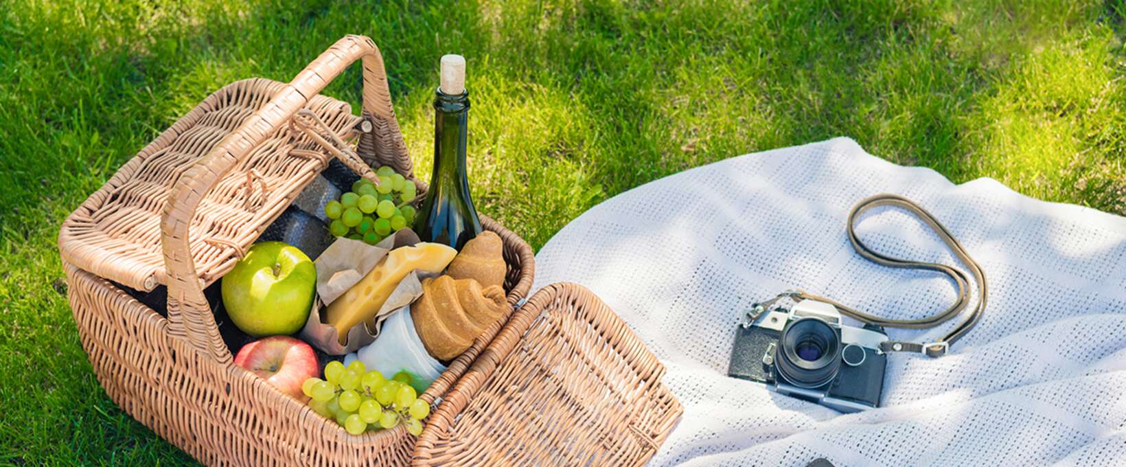 Picknickkorb voll mit Köstlichkeiten 