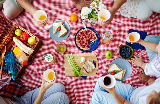 Family picnic with cake and fruits