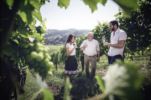 Wine region with vines | Styria