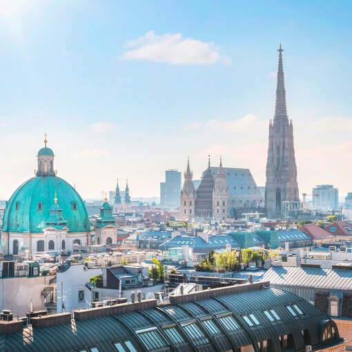 St. Stephen's Cathedral with city view | Vienna