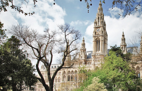 Wiener Rathaus mit Park | Wien