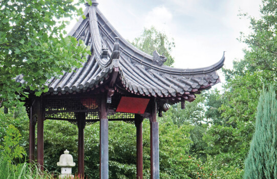 Botanischer Garten | Wien