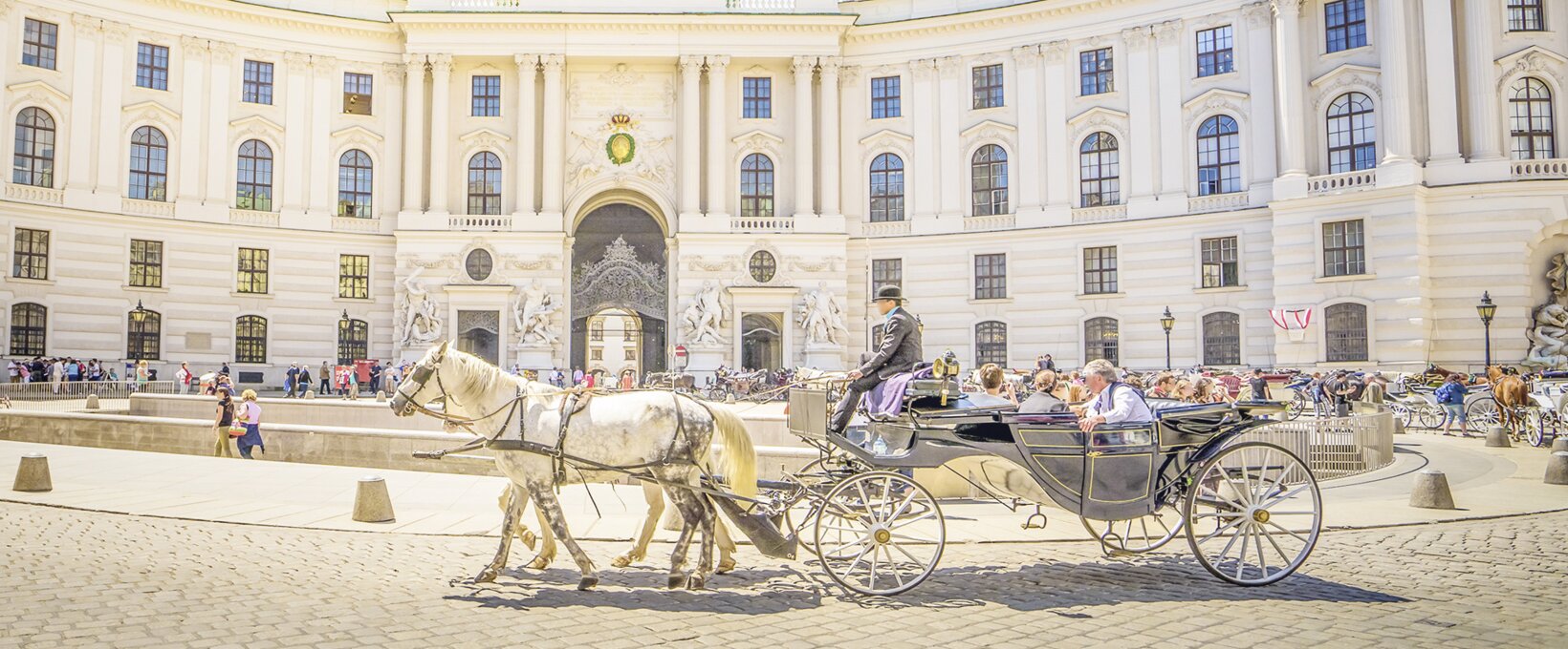  Hofburg with coach | Vienna