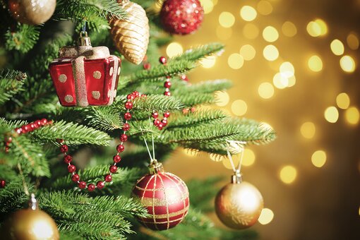 Image result for christmas celebration